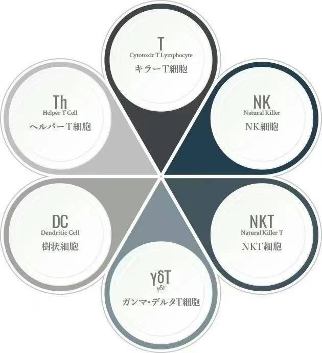 6种复合免疫疗法